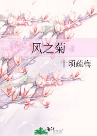 风之菊