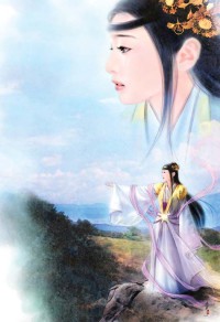 从火凤凰开始的特种兵